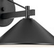 Ripley One Light Outdoor Wall Mount (49061BK)