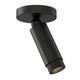 Cleo LED Spot Light (E21680-BK)