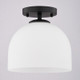 Shelby One Light Semi-Flush Mount (C0346)
