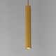 Reeds LED Pendant (E11012-GLD)