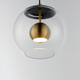 Nucleus LED Pendant (E25153-BKNAB)