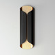 Folio LED Outdoor Wall Lamp (E30156-BKGLD)
