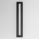 Fuse Outdoor LED Outdoor Wall Sconce (E30254-10BKGLD)