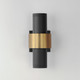 Reveal Outdoor LED Outdoor Wall Sconce (E34754-BKGLD)