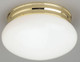 Forte - 20011-01-02 - One Light Flush Mount - Polished Brass F - Polished Brass