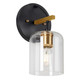 Forte - 5724-01-62 - One Light Wall Sconce - Tyrone - Black and Soft Gold
