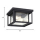 manufacturer_finish:Black