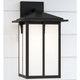 manufacturer_finish:Black|manufacturer_glass:Etched / White Inside|light_source:Unspecified|light_output:Unspecified|color_temperature:Unspecified|cri:Unspecified
