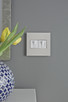 adorne Whisper Switch with Microban (ASWR1532W4)