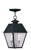 Livex Lighting - 2167-04 - Two Light Outdoor Pendant - Mansfield - Black