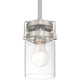 Shelby One Light Pendant (63080-BS/CLR)