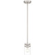 Shelby One Light Pendant (63080-BS/CLR)