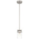 Shelby One Light Pendant (63080-BS/CLR)