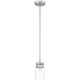 Shelby One Light Pendant (63080-BS/CLR)