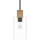 Hunter - 13110 - One Light Pendant - Vanning - Noble Bronze