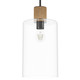 Hunter - 13112 - One Light Pendant - Vanning - Noble Bronze