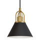 Hunter - 13164 - One Light Pendant - Carrington Isle - Matte Black