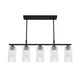 Hunter - 13232 - Five Light Chandelier - Beverly Glen - Matte Black