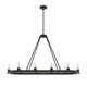 Hunter - 19027 - Ten Light Chandelier - Saddlewood - Natural Black Iron