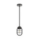 Hunter - 19039 - One Light Mini Pendant - Starklake - Noble Bronze