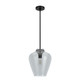 Hunter - 19111 - One Light Pendant - Vidria - Matte Black