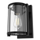 Hunter - 19125 - One Light Wall Sconce - Astwood - Matte Black