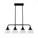 Hunter - 19184 - Four Light Linear Chandelier - Cypress Grove - Natural Black Iron