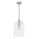 Hunter - 19203 - One Light Pendant - Lochemeade - Brushed Nickel