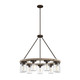 Hunter - 19245 - Nine Light Chandelier - Devon Park - Onyx Bengal