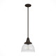 Hunter - 19248 - One Light Pendant - Cypress Grove - Onyx Bengal