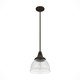 Cypress Grove One Light Pendant (19248)