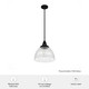 Cypress Grove One Light Pendant (19249)