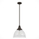Hunter - 19250 - One Light Pendant - Cypress Grove - Onyx Bengal