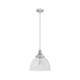 Hunter - 19349 - One Light Pendant - Cypress Grove - Brushed Nickel
