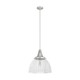 Hunter - 19350 - One Light Pendant - Cypress Grove - Brushed Nickel