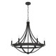 Hunter - 19414 - Six Light Chandelier - Perch Point - Noble Bronze