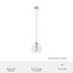 High Oaks One Light Pendant (19559)