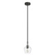 Hunter - 19568 - One Light Pendant - Maple Park - Noble Bronze