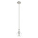 Hunter - 19569 - One Light Pendant - Maple Park - Brushed Nickel