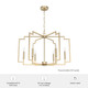 Zoanne Six Light Chandelier (19570)