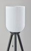 Kinsley Floor Lamp (1630-01)