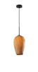 Adesso Home - 2137-12 - Pendant - Hugo - Black