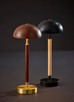 Ronny LED Table Lamp (3064-15)