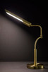 Zane LED Desk Lamp (3957-21)