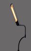 Zane LED Floor Lamp (3958-01)