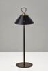 Danny LED Table Lamp (4091-01)