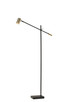Adesso Home - 4218-01 - LED Floor Lamp - Collette - Black/Antique Brass