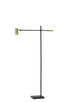 Collette LED Floor Lamp (4218-01)