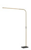 Adesso Home - 4354-21 - LED Floor Lamp - Cullen - Antique Brass