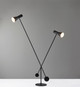 Bond Two Light Floor Lamp (AD9115-01)